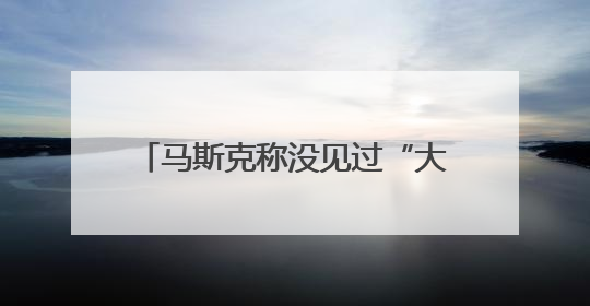 马斯克称没见过“大而美”法案，美众议长：我们曾多次讨论