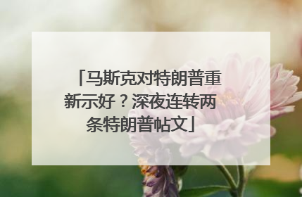 马斯克对特朗普重新示好？深夜连转两条特朗普帖文