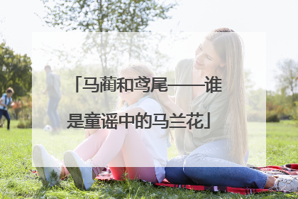 马蔺和鸢尾——谁是童谣中的马兰花
