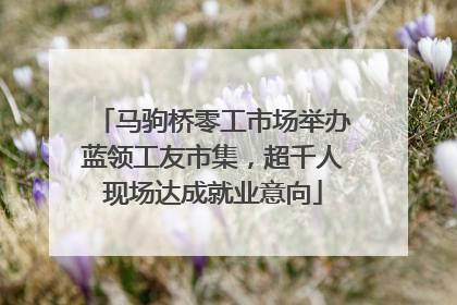 马驹桥零工市场举办蓝领工友市集，超千人现场达成就业意向