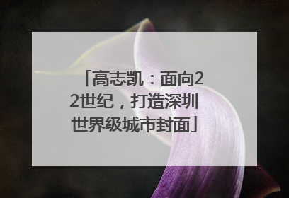 高志凯：面向22世纪，打造深圳世界级城市封面