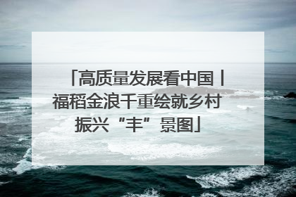 高质量发展看中国丨福稻金浪千重绘就乡村振兴“丰”景图