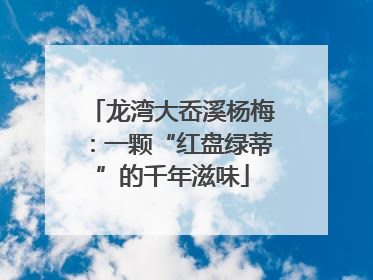 龙湾大岙溪杨梅：一颗“红盘绿蒂”的千年滋味