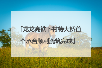 龙龙高铁下村特大桥首个承台顺利浇筑完成