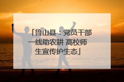 鲁山县：党员干部一线助农耕 高校师生宣传护生态