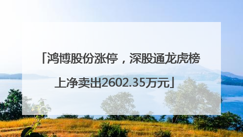 鸿博股份涨停，深股通龙虎榜上净卖出2602.35万元