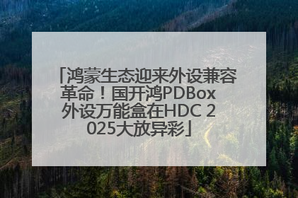 鸿蒙生态迎来外设兼容革命！国开鸿PDBox外设万能盒在HDC 2025大放异彩