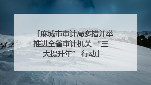 麻城市审计局多措并举推进全省审计机关 “三大提升年” 行动