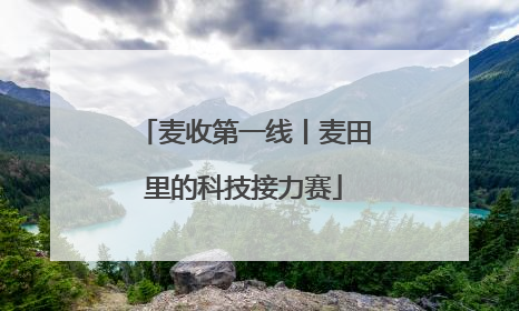 麦收第一线丨麦田里的科技接力赛