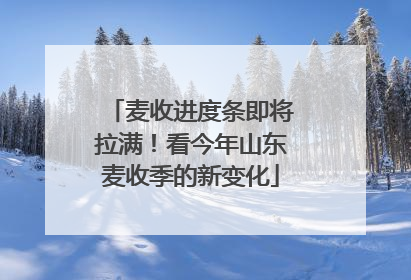 麦收进度条即将拉满！看今年山东麦收季的新变化
