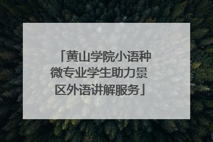 黄山学院小语种微专业学生助力景区外语讲解服务
