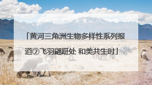 黄河三角洲生物多样性系列报道②飞羽翩跹处 和美共生时