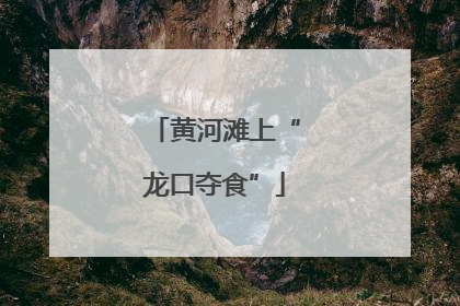 黄河滩上“龙口夺食”