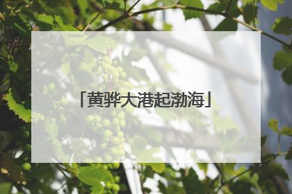 黄骅大港起渤海