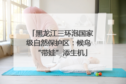 黑龙江三环泡国家级自然保护区：候鸟“带娃”添生机