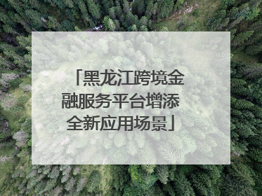 黑龙江跨境金融服务平台增添全新应用场景
