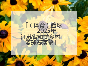 （体育）篮球——2025年江苏省和美乡村篮球赛落幕
