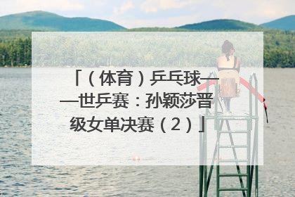 （体育）乒乓球——世乒赛：孙颖莎晋级女单决赛（2）