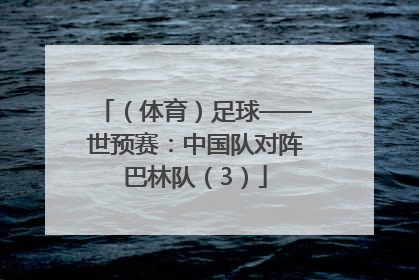 （体育）足球——世预赛：中国队对阵巴林队（3）