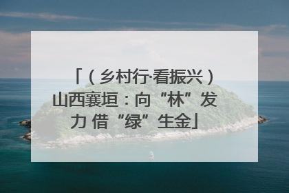 （乡村行·看振兴）山西襄垣：向“林”发力 借“绿”生金