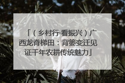 （乡村行·看振兴）广西龙脊梯田：背篓变迁见证千年农耕传统魅力