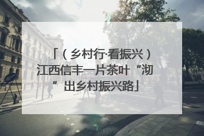 （乡村行·看振兴）江西信丰一片茶叶“沏”出乡村振兴路