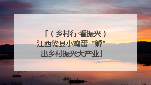 （乡村行·看振兴）江西赣县小鸡蛋“孵”出乡村振兴大产业