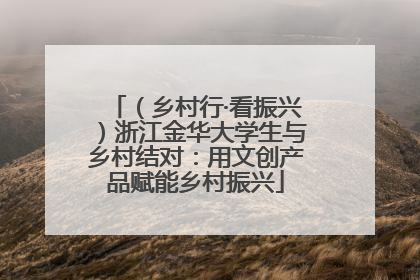 （乡村行·看振兴）浙江金华大学生与乡村结对：用文创产品赋能乡村振兴