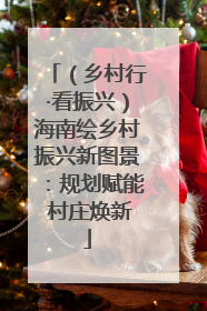 （乡村行·看振兴）海南绘乡村振兴新图景：规划赋能 村庄焕新