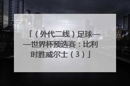 （外代二线）足球——世界杯预选赛：比利时胜威尔士（3）