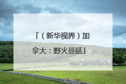 （新华视界）加拿大：野火蔓延
