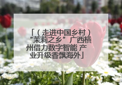 （走进中国乡村）“茉莉之乡”广西横州借力数字智能 产业升级香飘海外
