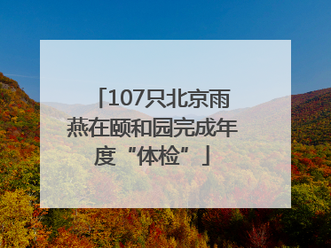 107只北京雨燕在颐和园完成年度“体检”