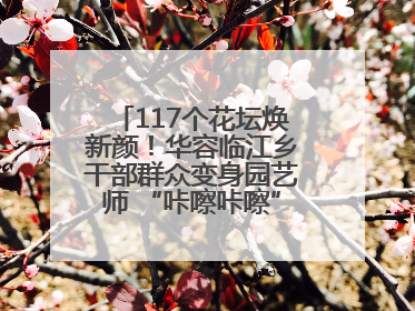 117个花坛焕新颜！华容临江乡干部群众变身园艺师 “咔嚓咔嚓”省下数万元