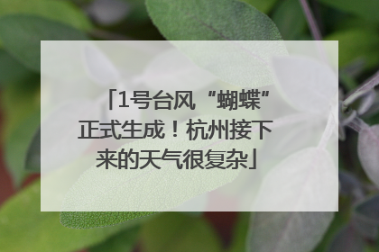 1号台风“蝴蝶”正式生成！杭州接下来的天气很复杂