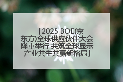 2025 BOE(京东方)全球供应伙伴大会隆重举行 共筑全球显示产业共生共赢新格局