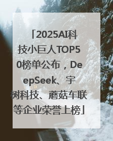 2025AI科技小巨人TOP50榜单公布，DeepSeek、宇树科技、蘑菇车联等企业荣誉上榜