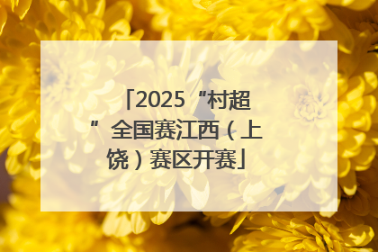 2025“村超”全国赛江西（上饶）赛区开赛