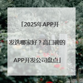 2025年APP开发选哪家好？高口碑的APP开发公司盘点