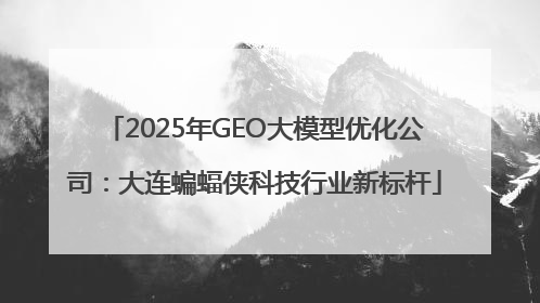 2025年GEO大模型优化公司：大连蝙蝠侠科技行业新标杆