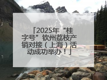 2025年“桂字号”钦州荔枝产销对接（上海）活动成功举办！