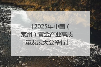 2025年中国（莱州）黄金产业高质量发展大会举行