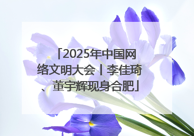 2025年中国网络文明大会丨李佳琦、董宇辉现身合肥