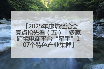 2025年廊坊经洽会亮点抢先看（五）丨多家跨境电商平台“牵手”107个特色产业集群