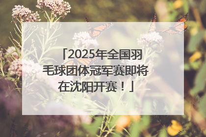 2025年全国羽毛球团体冠军赛即将在沈阳开赛！