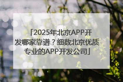 2025年北京APP开发哪家靠谱？细数北京优质专业的APP开发公司