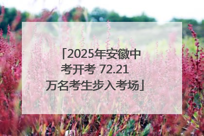 2025年安徽中考开考 72.21万名考生步入考场