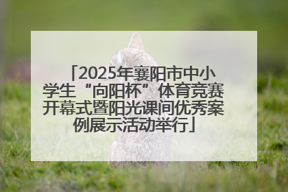 2025年襄阳市中小学生“向阳杯”体育竞赛开幕式暨阳光课间优秀案例展示活动举行