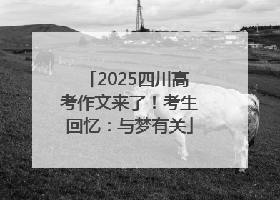 2025四川高考作文来了！考生回忆：与梦有关