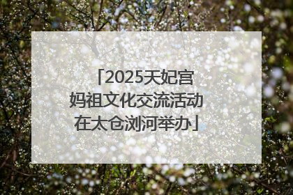 2025天妃宫妈祖文化交流活动在太仓浏河举办